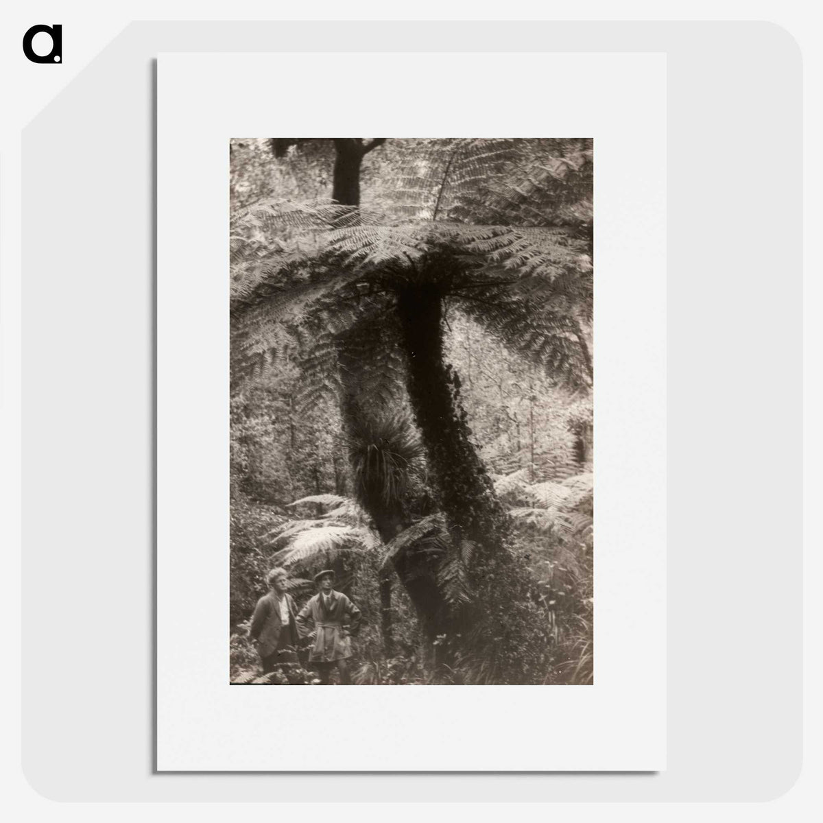 1-40_Leslie-Adkin_picture