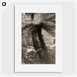 1-40_Leslie-Adkin_picture