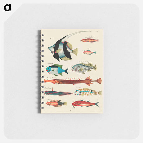 アートメモ帳-Moluccan Fishes
 - ルイ ルナール Memo.