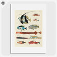 1-40_Louis-Renard_picture