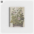 1-40_Maria-Sibylla-Merian_memo