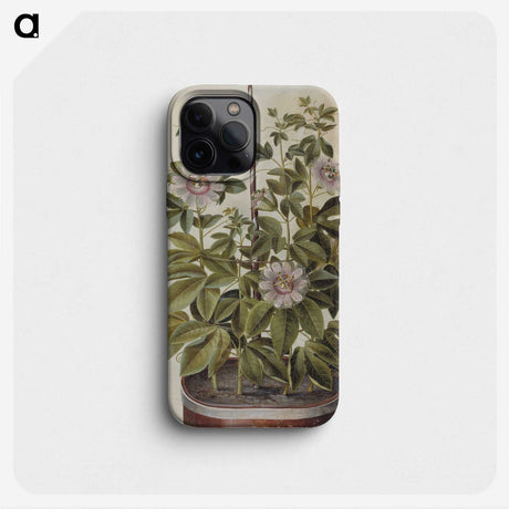 1-40_Maria-Sibylla-Merian_phone