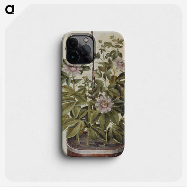 1-40_Maria-Sibylla-Merian_phone