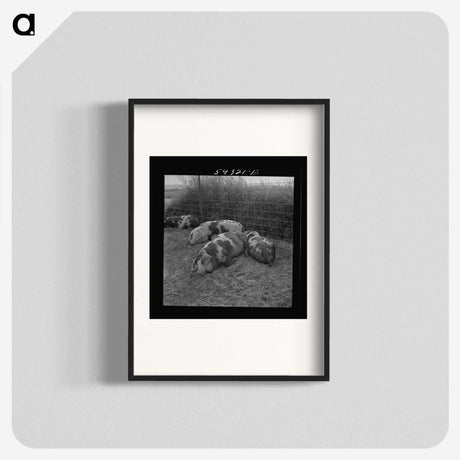 1-40_Marion-Post-Wolcott_blk