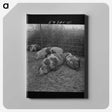 1-40_Marion-Post-Wolcott_canvas