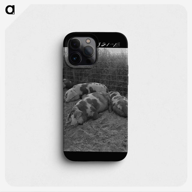 1-40_Marion-Post-Wolcott_phone