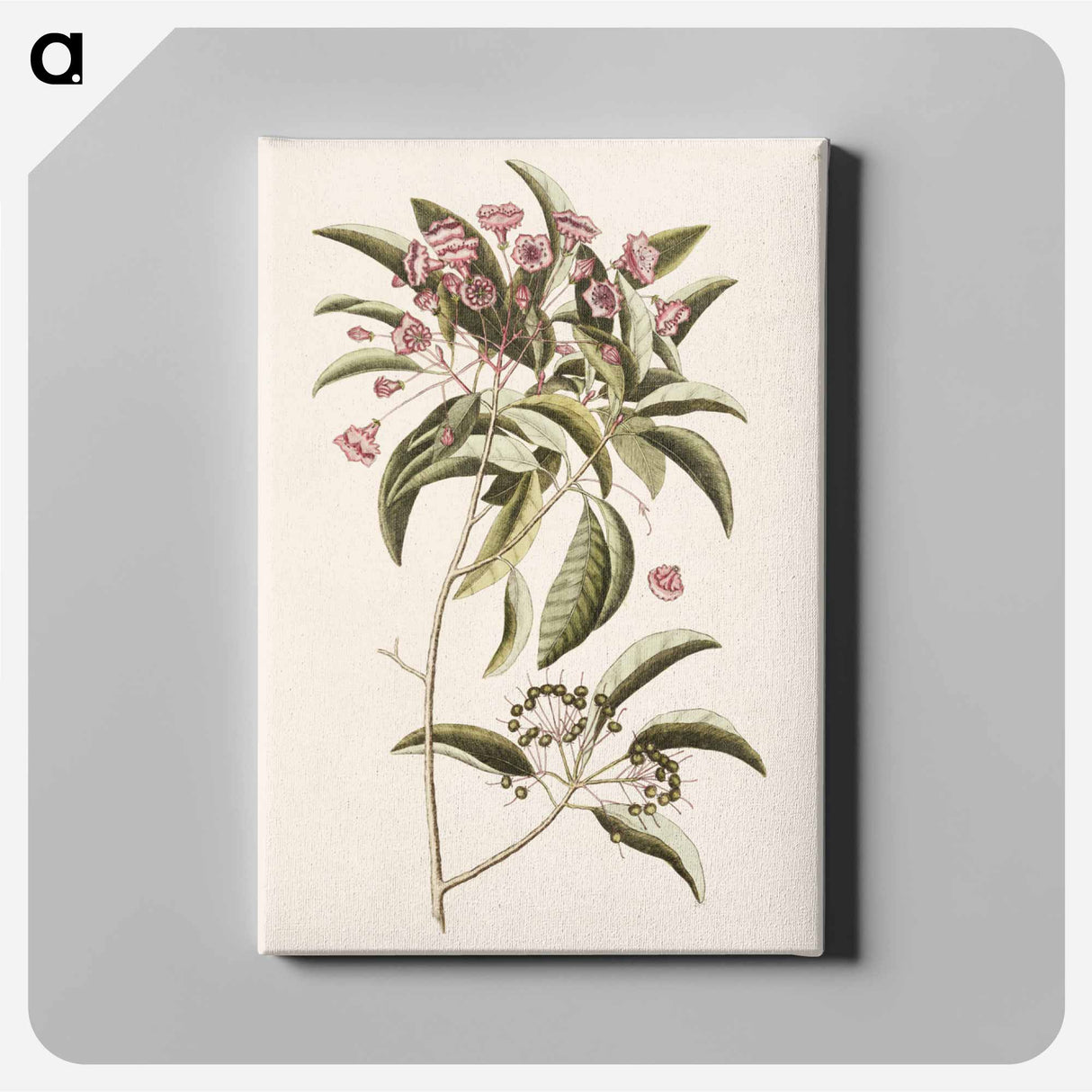 アートパネル-Mountain Laurel
 - マーク ケイツビー Canvas.