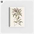 1-40_Mark-Catesby_memo