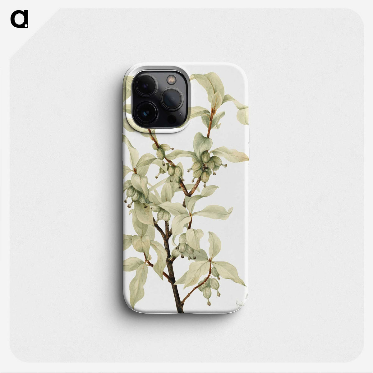 1-40_Mary-Vaux-Walcott_phone