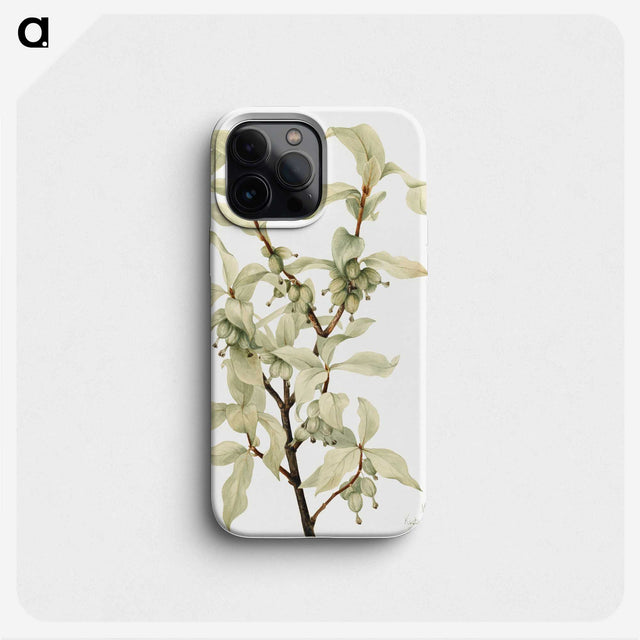 1-40_Mary-Vaux-Walcott_phone