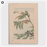 1-40_Megata-Morikaga_picture-crop