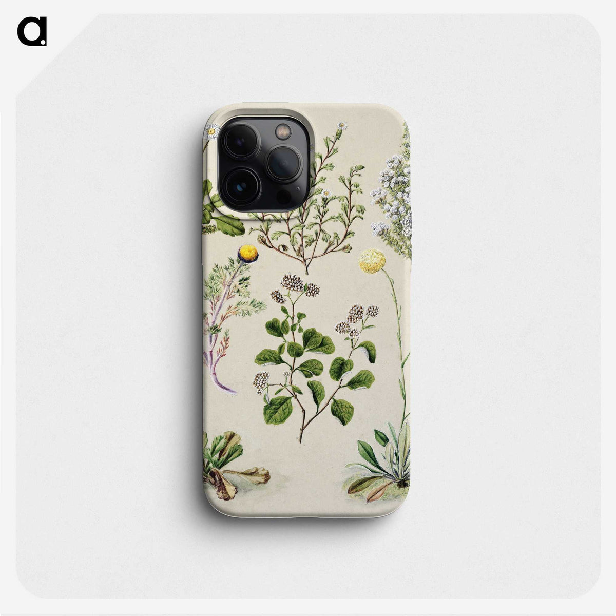 1-40_Native-Flowering-Plants-of-New-Zealand_phone