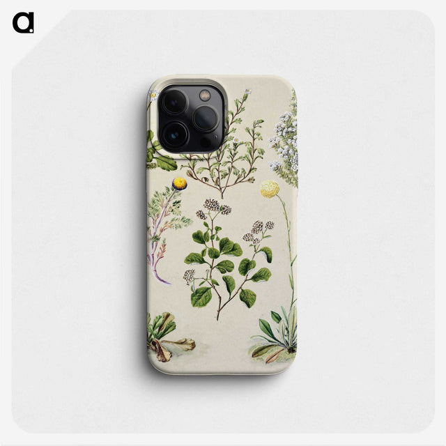 1-40_Native-Flowering-Plants-of-New-Zealand_phone