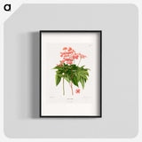 1-40_Nederlandsche-Flora-en-Pomona_blk