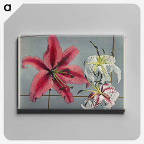 1-40_Ogawa-Kazumasa_canvas