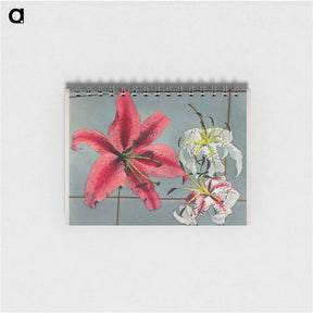 アートメモ帳-Lily - 小川 一正 Memo.