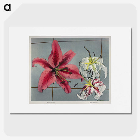 1-40_Ogawa-Kazumasa_picture