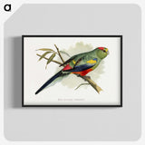 1-40_Parrots-in-Captivity_blk-crop