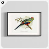 1-40_Parrots-in-Captivity_blk