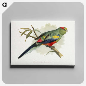 1-40_Parrots-in-Captivity_canvas