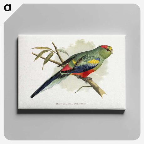 1-40_Parrots-in-Captivity_canvas