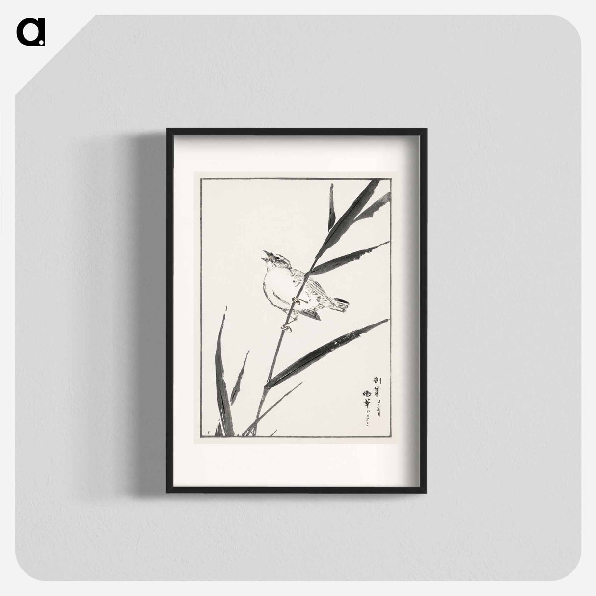 アートポスター-Reed-Bunting and Reed
 - 鳥類図鑑 Poster.