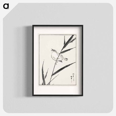 アートポスター-Reed-Bunting and Reed
 - 鳥類図鑑 Poster.