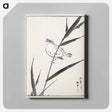 アートパネル-Reed-Bunting and Reed
 - 鳥類図鑑 Canvas.