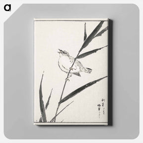 アートパネル-Reed-Bunting and Reed
 - 鳥類図鑑 Canvas.