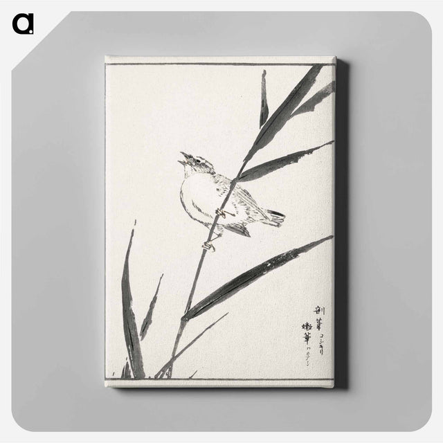 アートパネル-Reed-Bunting and Reed
 - 鳥類図鑑 Canvas.