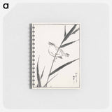 アートメモ帳-Reed-Bunting and Reed
 - 鳥類図鑑 Memo.