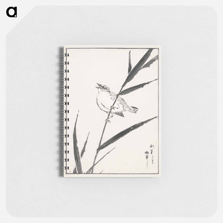 アートメモ帳-Reed-Bunting and Reed
 - 鳥類図鑑 Memo.