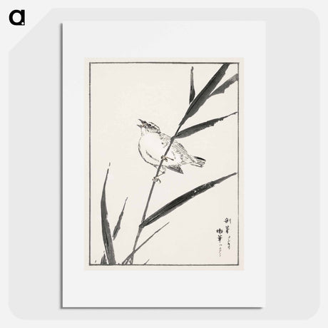 アートポスター-Reed-Bunting and Reed
 - 鳥類図鑑 Poster.