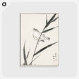 アートポストカード-Reed-Bunting and Reed
 - 鳥類図鑑 Postcard.