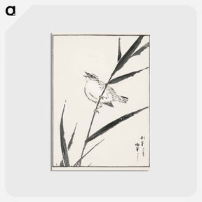 アートポストカード-Reed-Bunting and Reed
 - 鳥類図鑑 Postcard.
