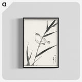 1-40_Pictorial-Monograph-of-Birds_blk-crop
