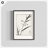1-40_Pictorial-Monograph-of-Birds_blk