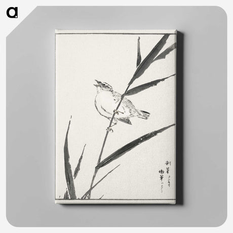 1-40_Pictorial-Monograph-of-Birds_canvas