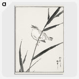 1-40_Pictorial-Monograph-of-Birds_picture-crop
