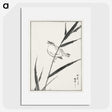 1-40_Pictorial-Monograph-of-Birds_picture