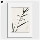 1-40_Pictorial-Monograph-of-Birds_picture