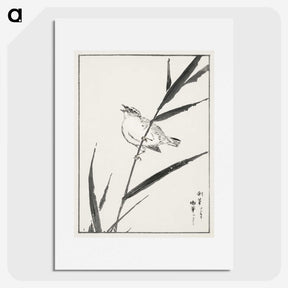1-40_Pictorial-Monograph-of-Birds_picture