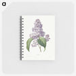 1-40_Pierre-Joseph-Redoute_memo