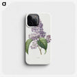 1-40_Pierre-Joseph-Redoute_phone