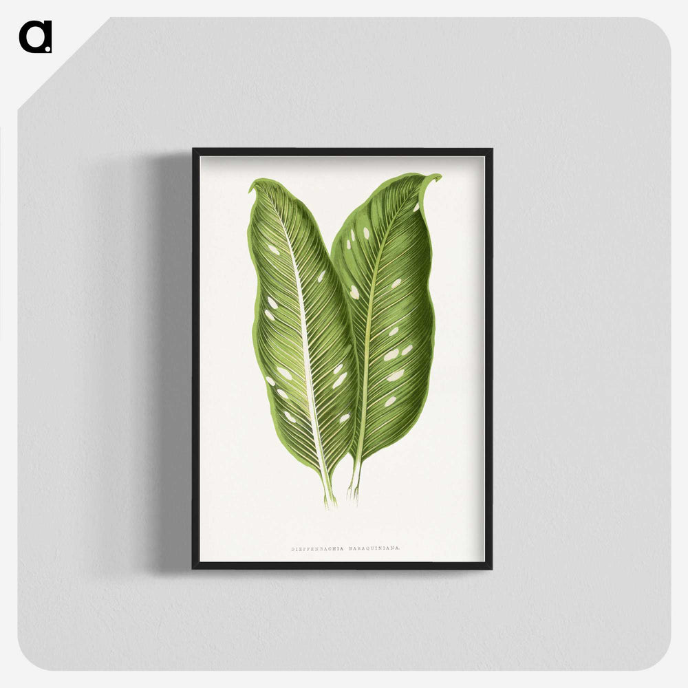 1-40_Plants-with-Colored-Foliage_blk-crop