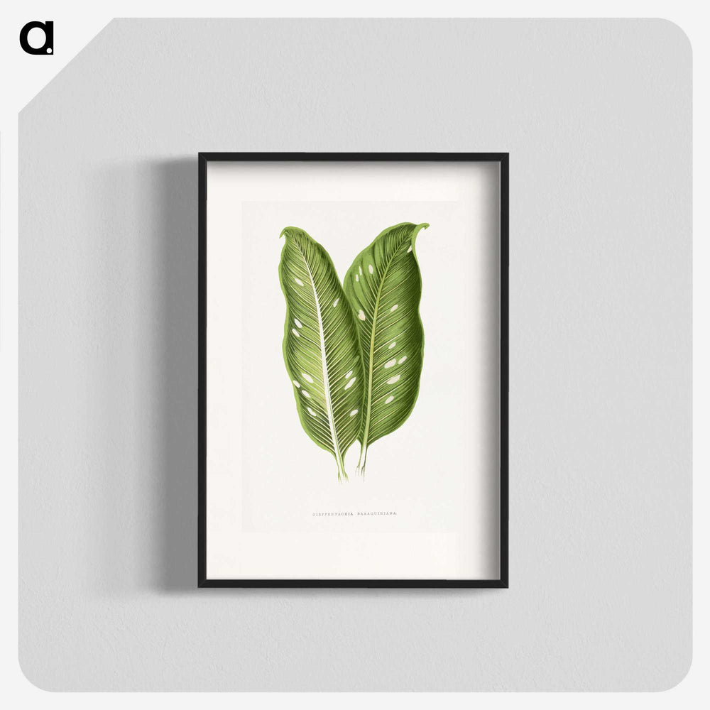 1-40_Plants-with-Colored-Foliage_blk