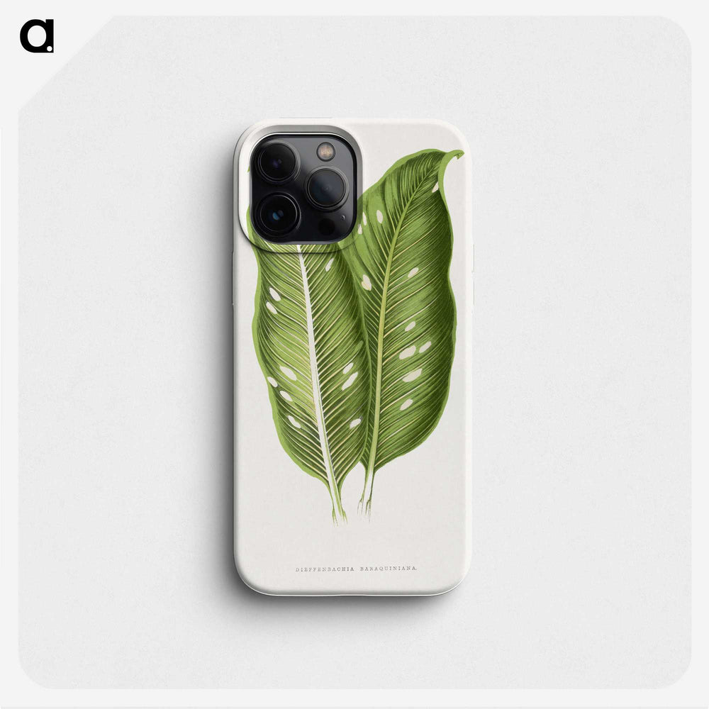 1-40_Plants-with-Colored-Foliage_phone