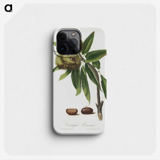 1-40_Pomona-Italiana_phone