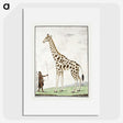 1-40_Robert-Jacob-Gordon_picture