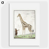 1-40_Robert-Jacob-Gordon_picture